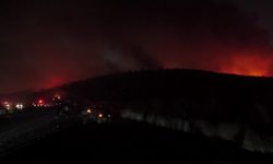 Buca’da Orman Yangını: 2 Kişi Gözaltında