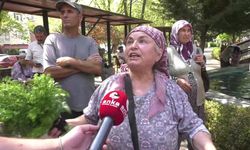 Köylülerin Ankara'daki Zeytinlik Nöbeti Sürüyor