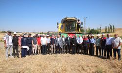 Akyurt'ta Hasat Bayramı