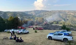 Beypazarı'nda Tarım Arazisinde Yangın