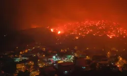 Bursa'da Alevler Yerleşim Yerlerine Sıçradı: Tehlike Büyüyor!