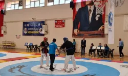 Nallıhan'da Alpagut Turan Etkinliği Başladı