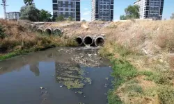 Sincan'da Kötü Koku Mahalleliyi Bıktırdı