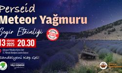 Perseid Meteor Yağmuru Mamak’ta Gözlemlenecek