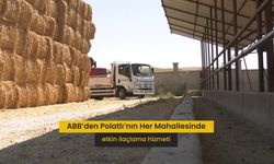 Ankara Büyükşehir Belediyesi, Bin 423 Mahallede İlaçlama Çalışmalarını Sürdürüyor