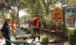Çankaya Belediyesi Bahriye Üçok Parkı’nı Yeniledi