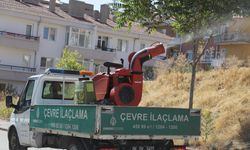 Çankaya'da İlaçlama Çalışmaları Sürüyor