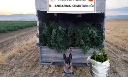 Ankara'da Uyuşturucu Operasyonu