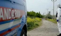 Türkiye Büyük Bir Tehlikeyle Karşı Karşıya: Şap Hastalığı Yayılıyor