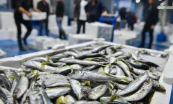 Ankara Büyükşehir Belediyesi'nden Balık Halinde Denetim