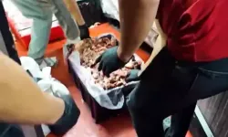 Ankara'da Gıda Denetimi: 1316 Kg Ürün İmha Edildi