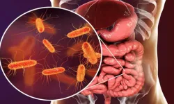 Yeni Salgın 2 Can Aldı: En Çok Çocukları Etkiliyor!