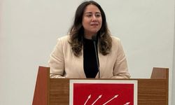 CHP Ankara İl Kadın Kolları Başkanı Çağlar: CHP Ailesi Birlik İçinde Mücadeleye Devam Ediyor