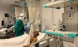 Ankara'dan Sonra Bolu'da Görüldü: 'Deli Dana' Hastalığı Şüphesi!