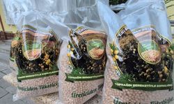 Şereflikoçhisar'da Belediye Tarlasından Ailelerin Sofrasına Nohut