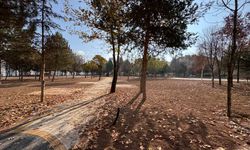 Pursaklar Parklarında Yenileme Sürüyor