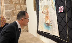 Çin'in Ankara Büyükelçisi'ndan Mardin Ziyareti