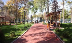 Çankaya Parklarında Kapsamlı Yenileme Çalışması