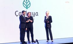 36'ncı Ankara Film Festivali Perdelerini Açtı