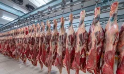 Karkas Ete Zam Geldi