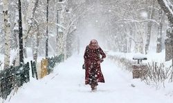 Uzman İsim Tarih Vererek Açıkladı: Bu Kış Sert Geçecek