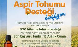 Şereflikoçhisar'da Aspir Tohumu Desteği Başladı