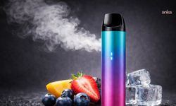 Almanya’da Tek Kullanımlık e-Sigara Yasağı Gündemde