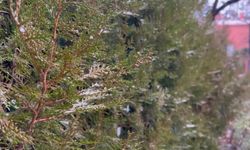 Ankara’ya İlk Kar Yağdı