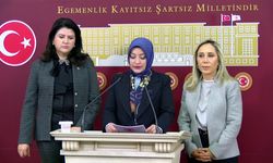 TBMM’deki Cinsel İstismar İddiaları İnceleniyor