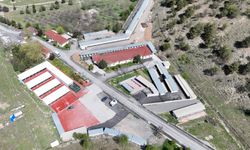 Çankaya Belediyesi Barınak Kapasitesini 1500'e Çıkardı