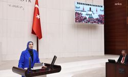 "Staja Geldikleri Meclis’te Kız Çocukları Nasıl İstismar Edildi?"