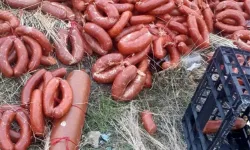 Gölbaşı'nda Yüzlerce Kilo Et Ürünü Boş Araziye Atıldı