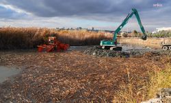 Gölbaşı Belediyesi, Mogan Gölü'nün Sahil Caddesi Kıyısında Temizlik Çalışmalarını Tamamladı