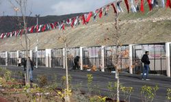 Yenimahalle'de Sokak Hayvanları Rehabilitasyon Merkezi Açıldı