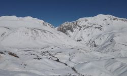 Atanamayan Öğretmen Hayvancığa Başladı