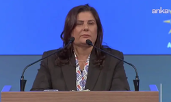 Özlem Çerçioğlu'ndan Özgür Özel'e Suç Duyurusu