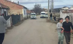 Polatlı'da 8 Kişi İlaçlama Sonrası Zehirlendi