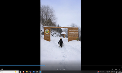 OGM'den 'Nihilist Penguen' Paylaşımı