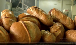 Ankara Halk Ekmek Fabrikası, 5 Yeni Ekşi Mayalı Ekmek Daha Üretti