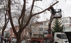 Keçiören Belediyesi, Park ve Yeşil Alanlardaki Bakım Çalışmalarını Sürdürüyor