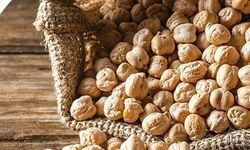 Mansur Yavaş'tan Başkentli Üreticiye Nohut Tohumu Desteği