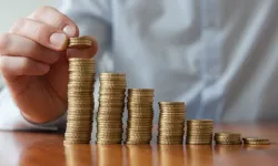 BES'te Devlet Katkı Payı Düşürüldü