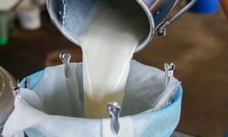 Çiğ Süt Fiyatı 22,22 Lira Olarak Açıklandı