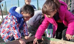 Ankaralı Minikler Yağmur Hasadı Öğrendi