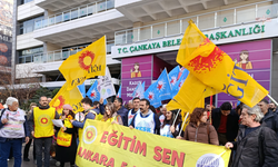 Eğitim Sen Ankara 5 No'lu Üniversiteler Şubesi'nden Barış Akademisyenleri Açıklaması