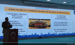 Ankara Büyükşehir'den, Güdül ve Şereflikoçhisar'da “Kışlatmadan, İlkbahara Arıcılıkta Koloni Yönetimi” Eğitimi