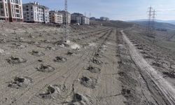 Sincan Saraycık Mahallesi Yeşilleniyor