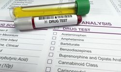 İşe Alımda Uyuşturucu Testi Dönemi