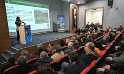 Ankara Büyükşehir Belediyesi, Çubuk’ta “Kışlatmadan İlkbahara Arıcılıkta Koloni Yönetimi” Eğitimi Düzenledi