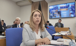 DEM Parti'de TBMM Danışmanının Ölümü Sonrası Kriz Büyüyor